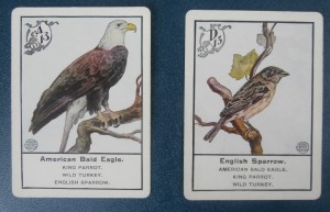 old cards of birds