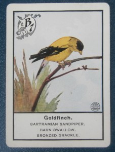 old parker brothers game card in Birds