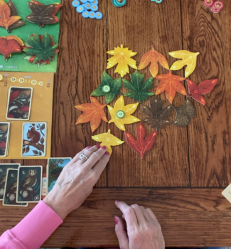How to Play and Solo Playthrough of LEAF Board Game