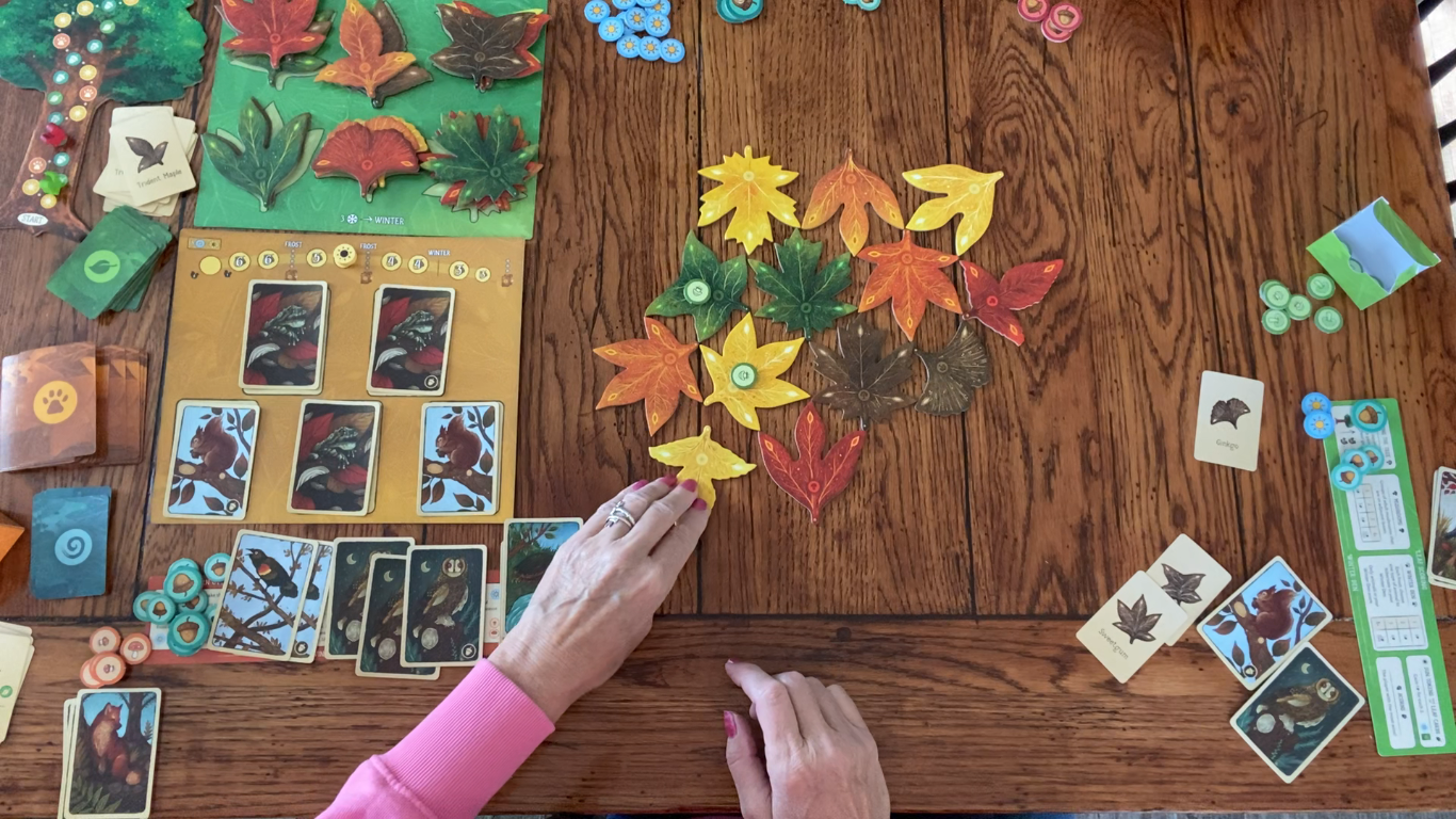 How to Play and Solo Playthrough of LEAF Board Game